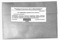 Exobasidium vaccinii image